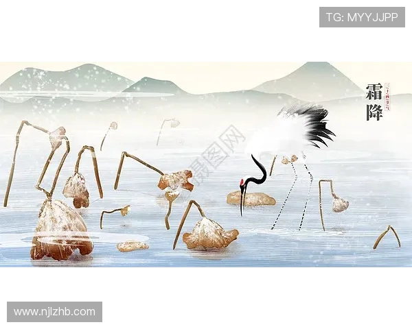 JRS直播NBA观看指南及平台介绍