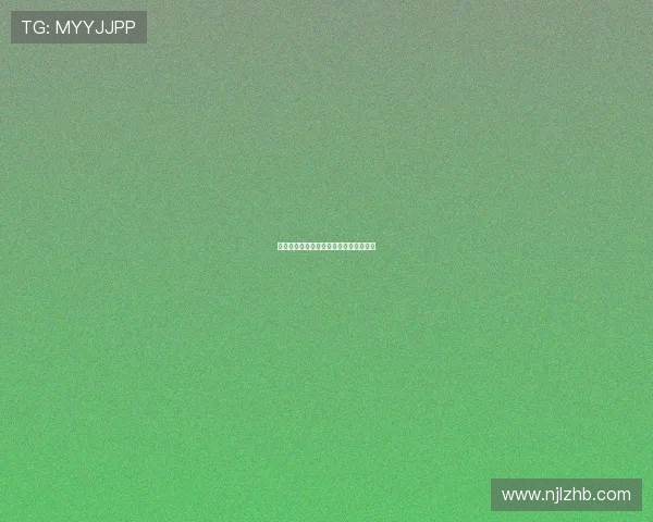 今夏德甲足球队转会动态及球队阵容调整